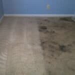 before-after-carpet-2