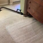 Carpet Maintenance