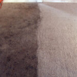 Comparison carpet clean